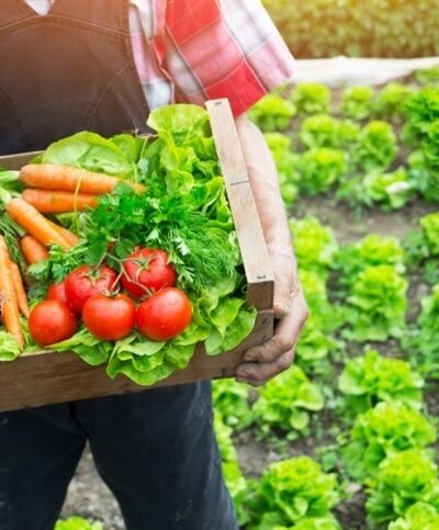 Agricultura